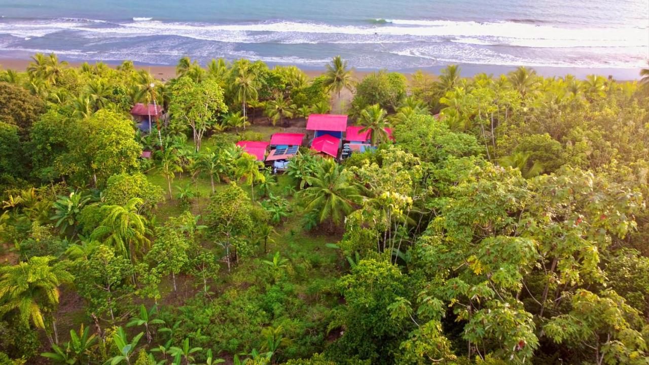 Tortuga Bay Eco Hotel El Valle  Eksteriør billede