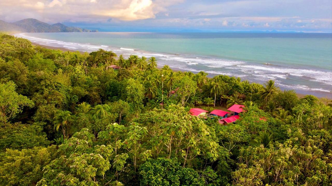Tortuga Bay Eco Hotel El Valle  Eksteriør billede