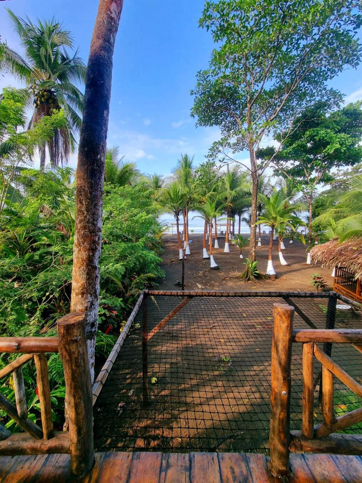 Tortuga Bay Eco Hotel El Valle  Værelse billede
