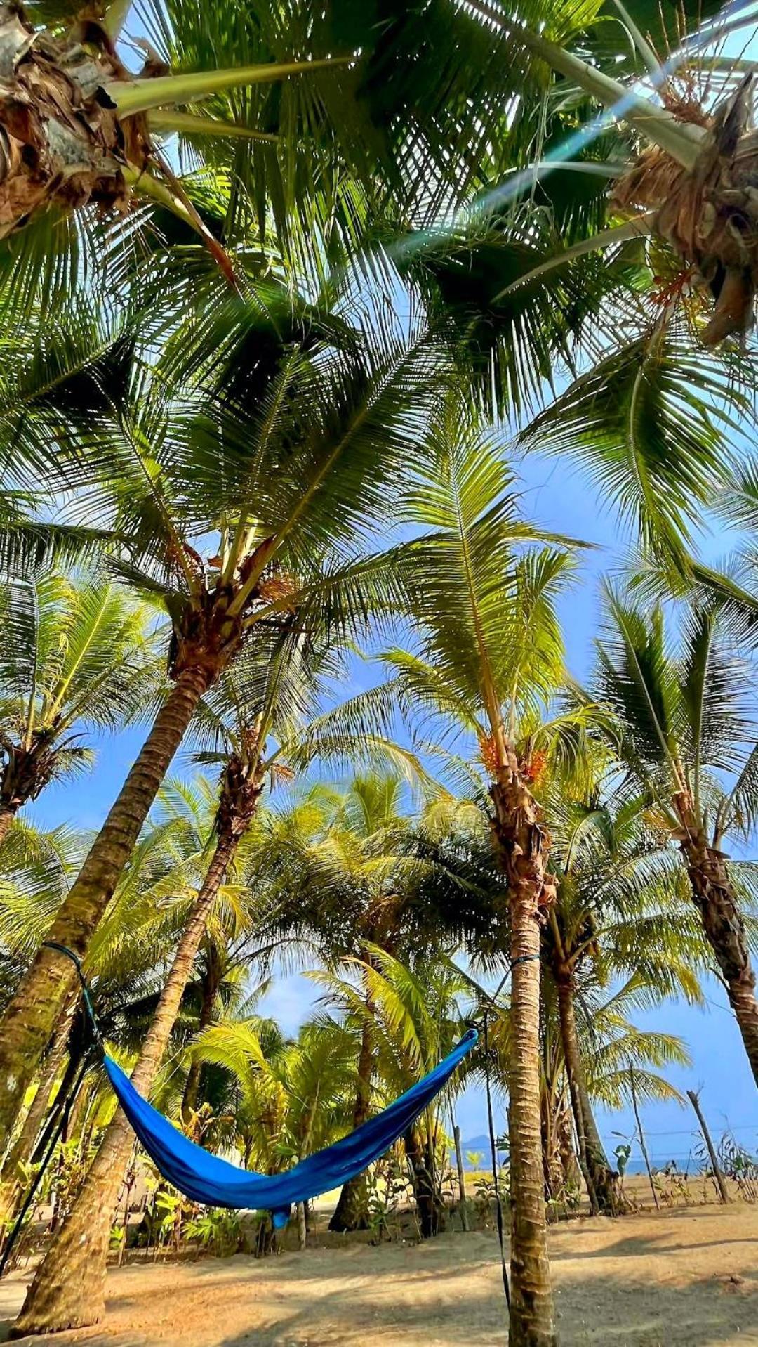 Tortuga Bay Eco Hotel El Valle  Eksteriør billede