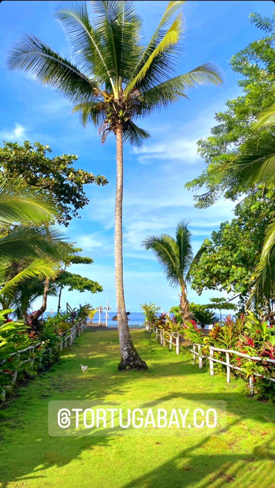 Tortuga Bay Eco Hotel El Valle  Eksteriør billede